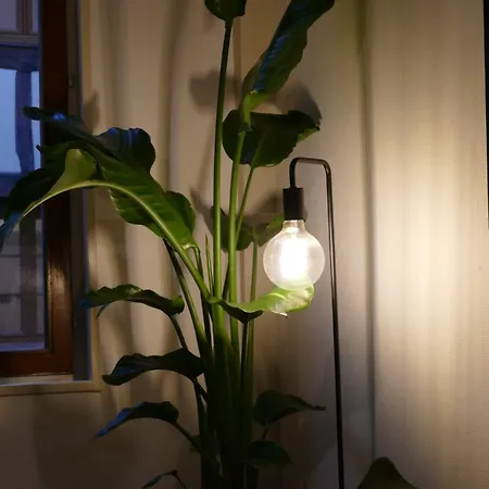 Confort En Couleurs Apartamento Ruan